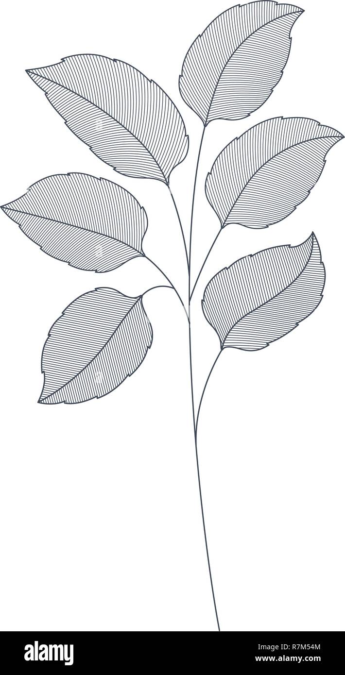 branches with leaves isolated icon Stock Vector Image & Art - Alamy