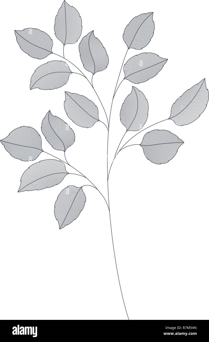 branches with leaves isolated icon Stock Vector Image & Art - Alamy
