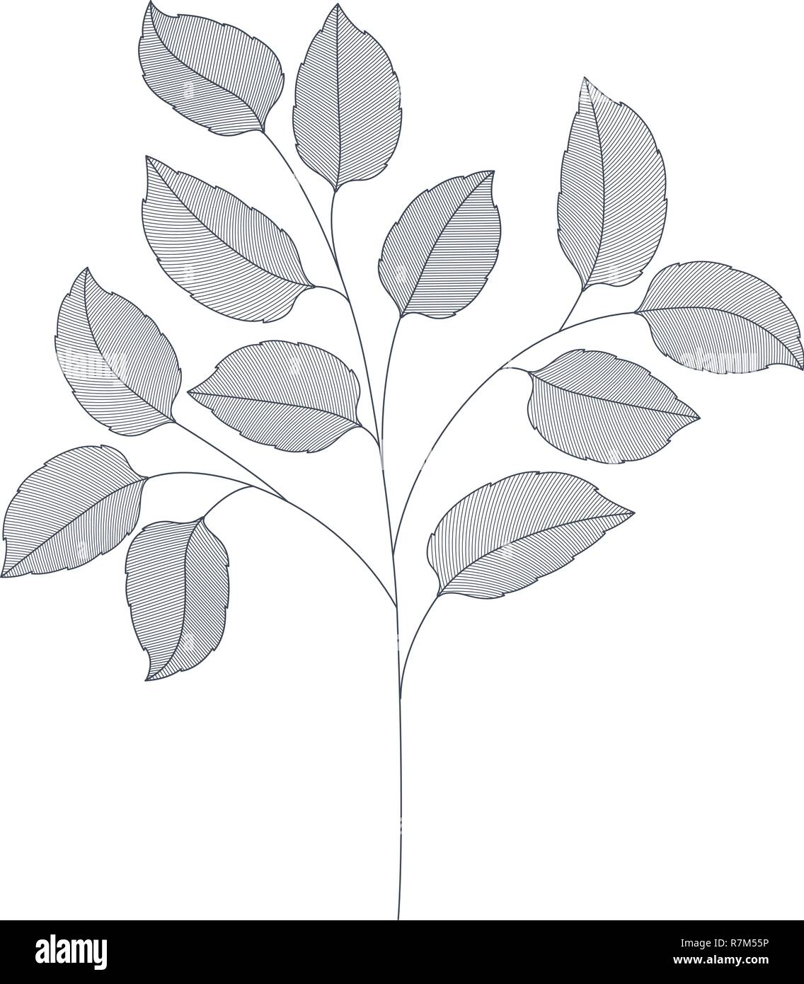 branches with leaves isolated icon Stock Vector Image & Art - Alamy