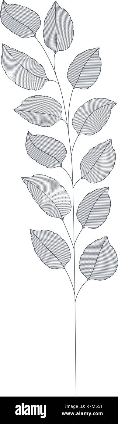 branches with leaves isolated icon Stock Vector Image & Art - Alamy