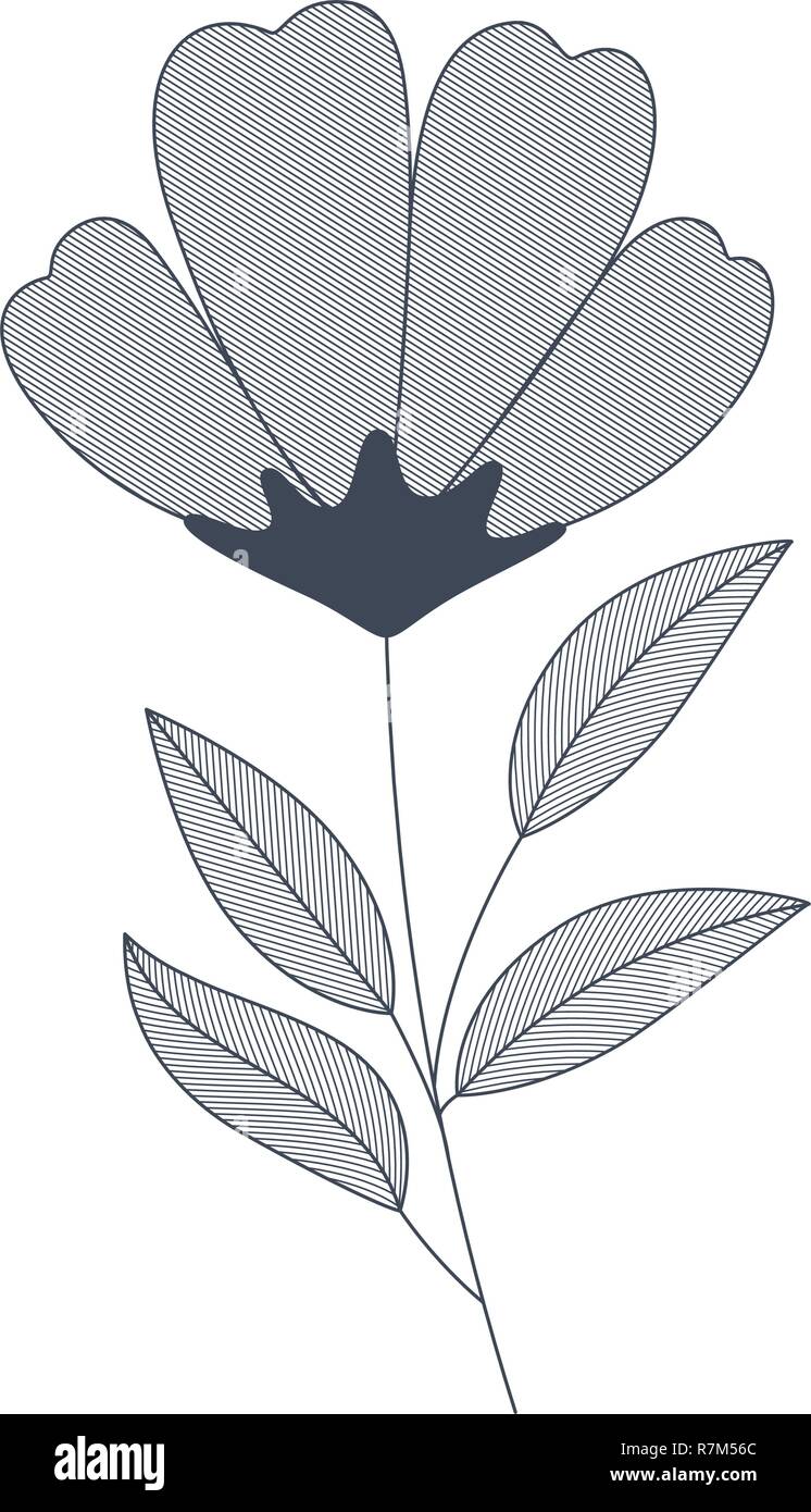 flower with branches and leaves isolated icon Stock Vector Image & Art ...