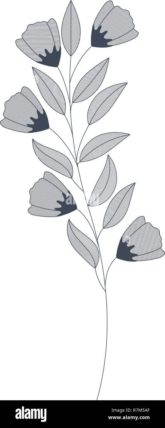 flowers with branches and leaves isolated icon Stock Vector Image & Art ...