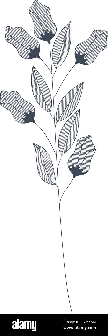 flowers with branches and leaves isolated icon Stock Vector Image & Art ...
