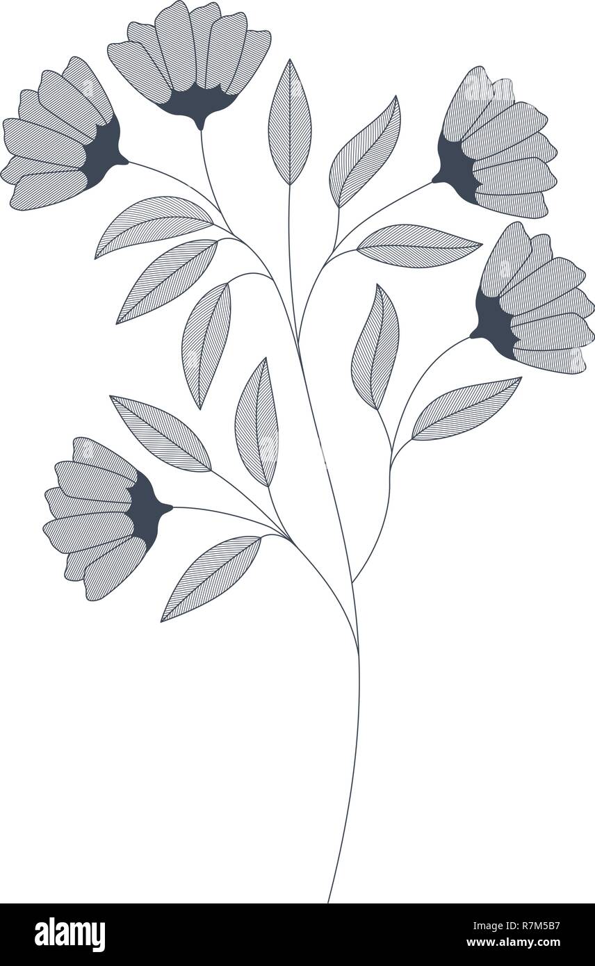 flowers with branches and leaves isolated icon Stock Vector Image & Art ...