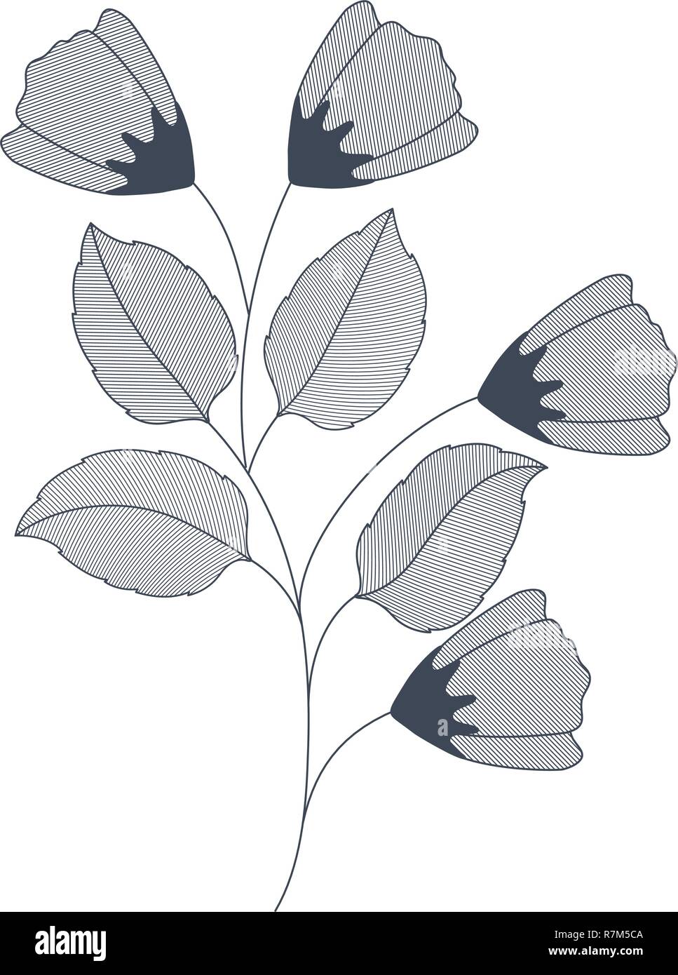 flowers with branches and leaves isolated icon Stock Vector Image & Art ...