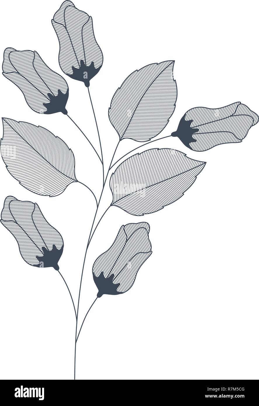 flowers with branches and leaves isolated icon Stock Vector Image & Art ...