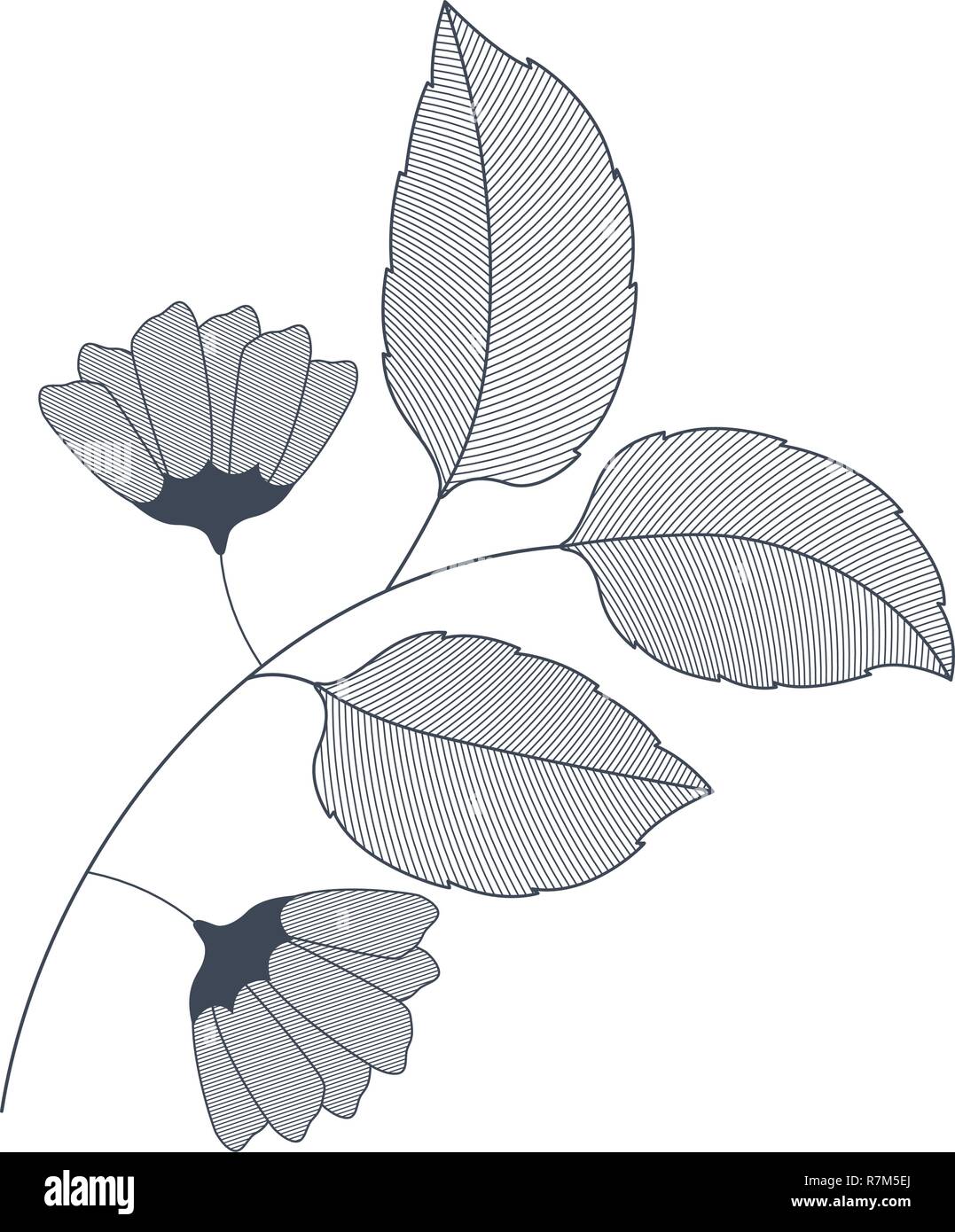 flowers with branches and leaves isolated icon Stock Vector Image & Art ...