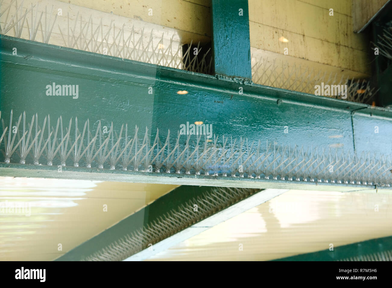 Pigeon spikes hi-res stock photography and images - Alamy