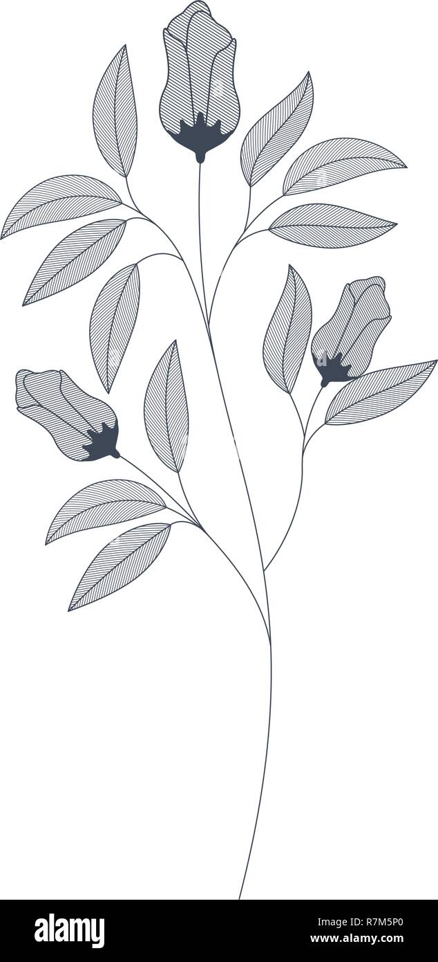 flowers with branches and leaves isolated icon Stock Vector Image & Art ...