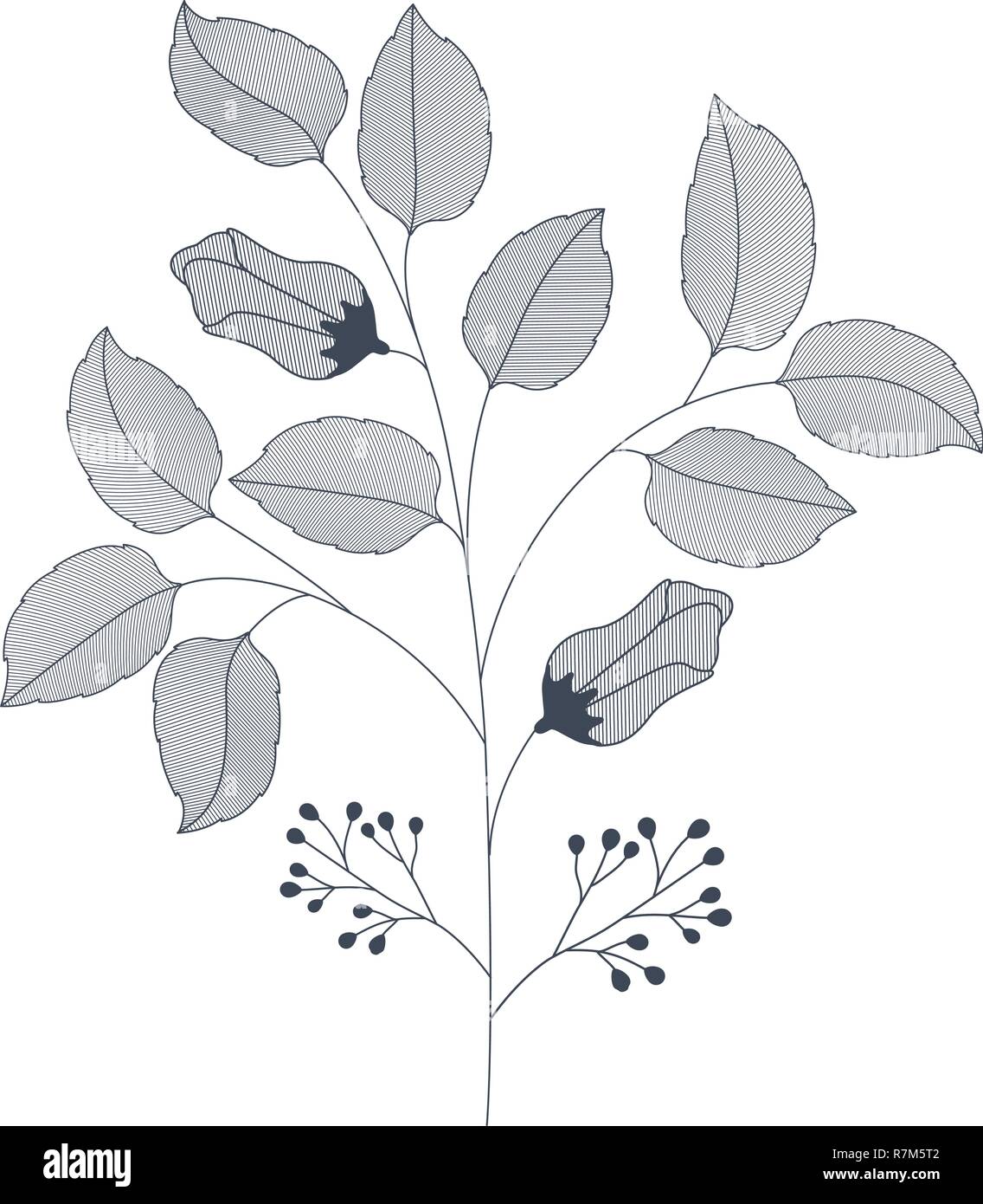 flowers with branches and leaves isolated icon Stock Vector Image & Art ...