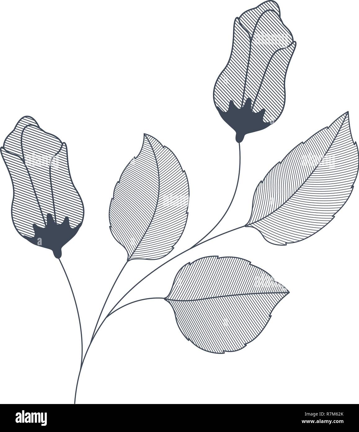 flowers with branches and leaves isolated icon Stock Vector Image & Art ...