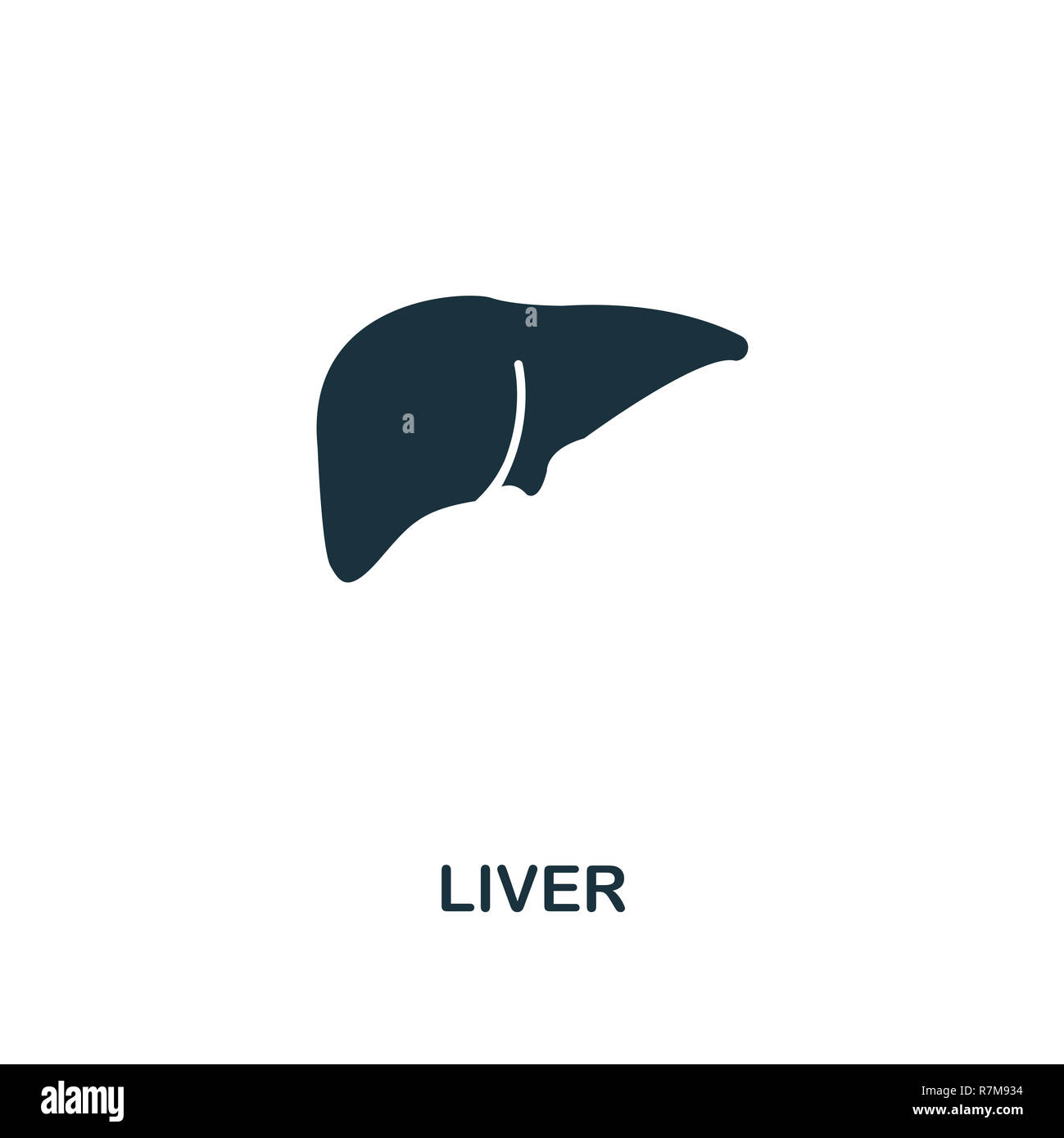 Liver icon. Premium style design from healthcare collection. Pixel ...