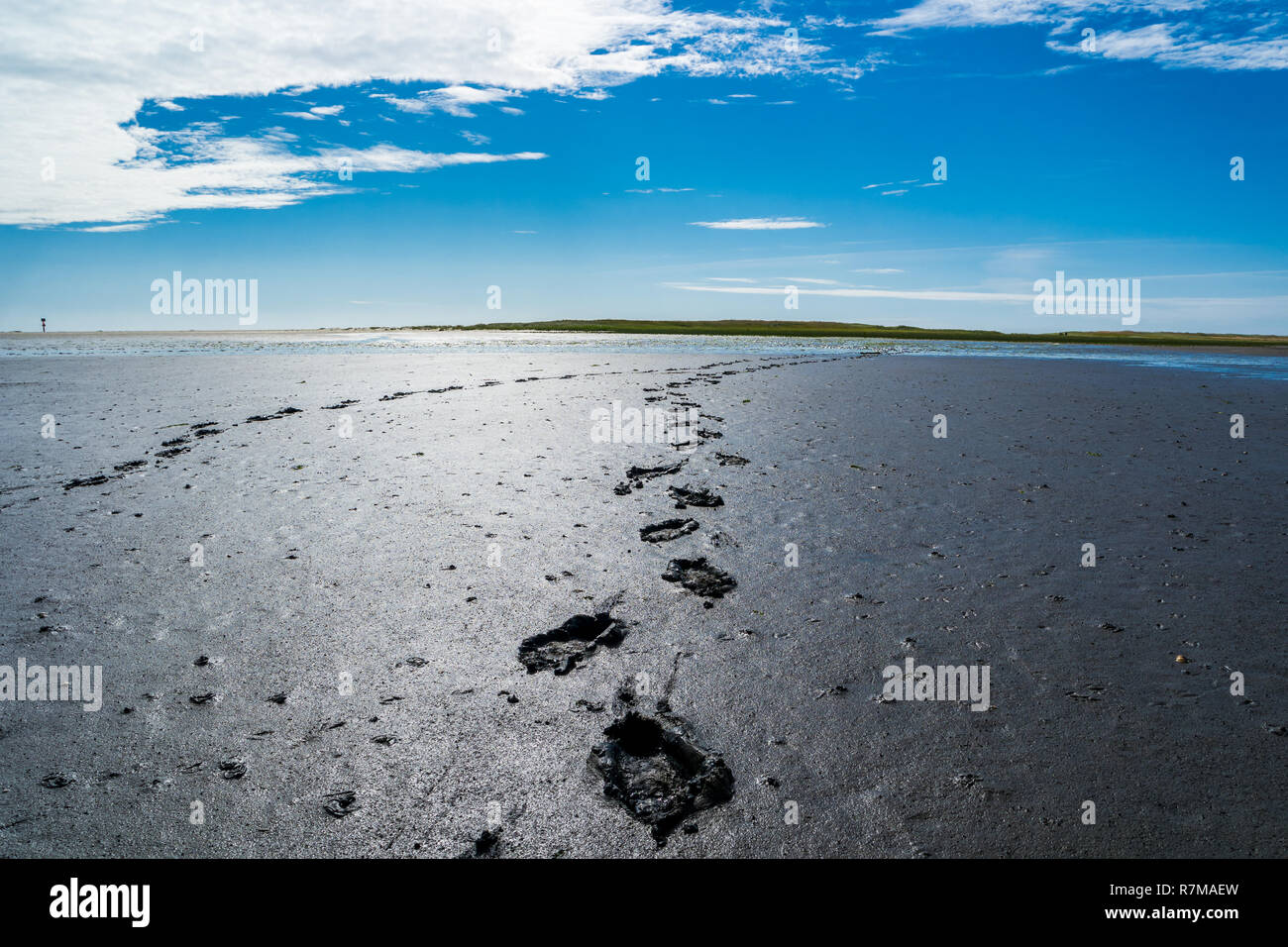 Footprints in the watt Stock Photo