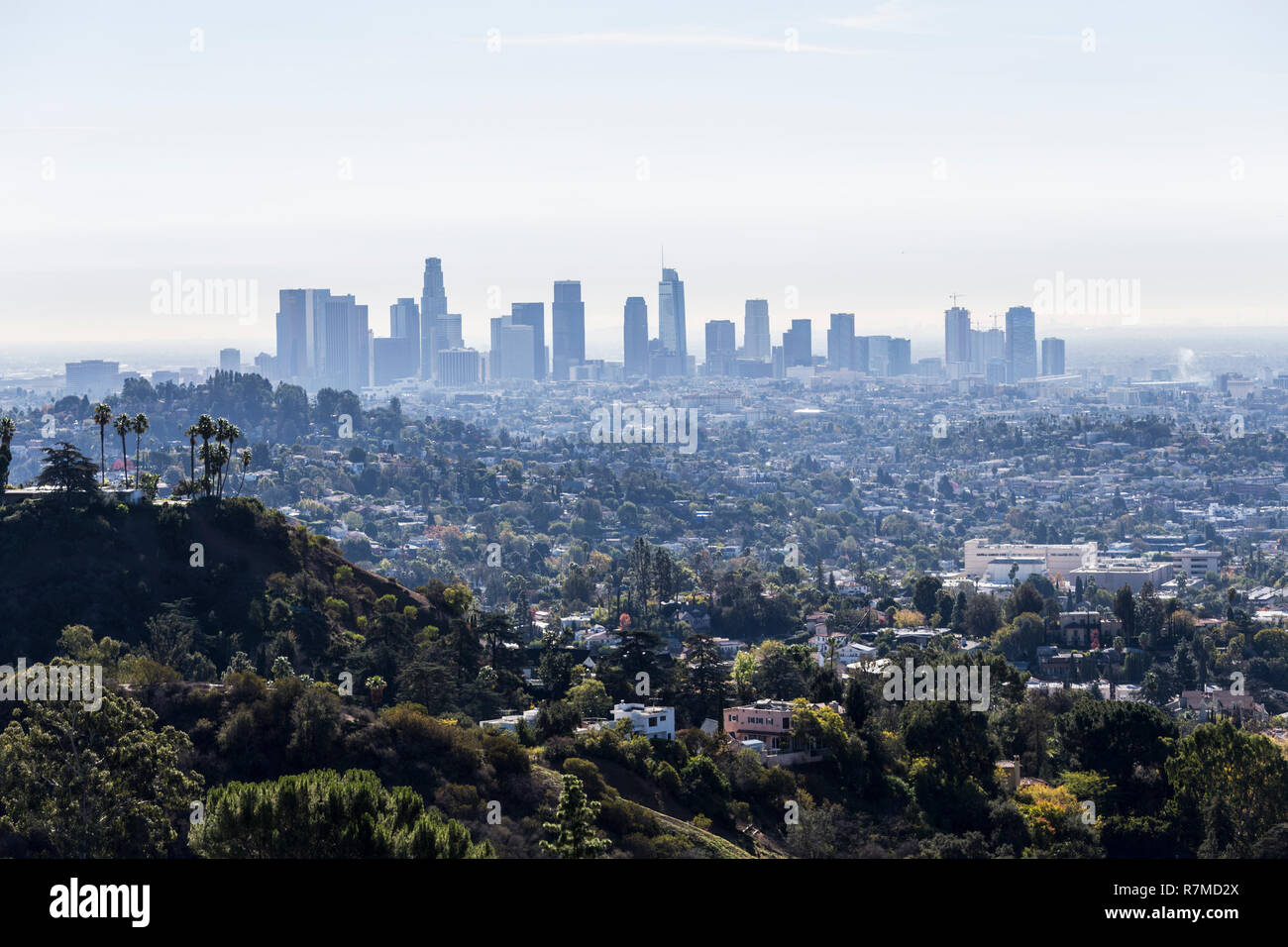 Morning skyline view of downtown Los Angeles from popular Griffith Park near Hollywood California. Stock Photo