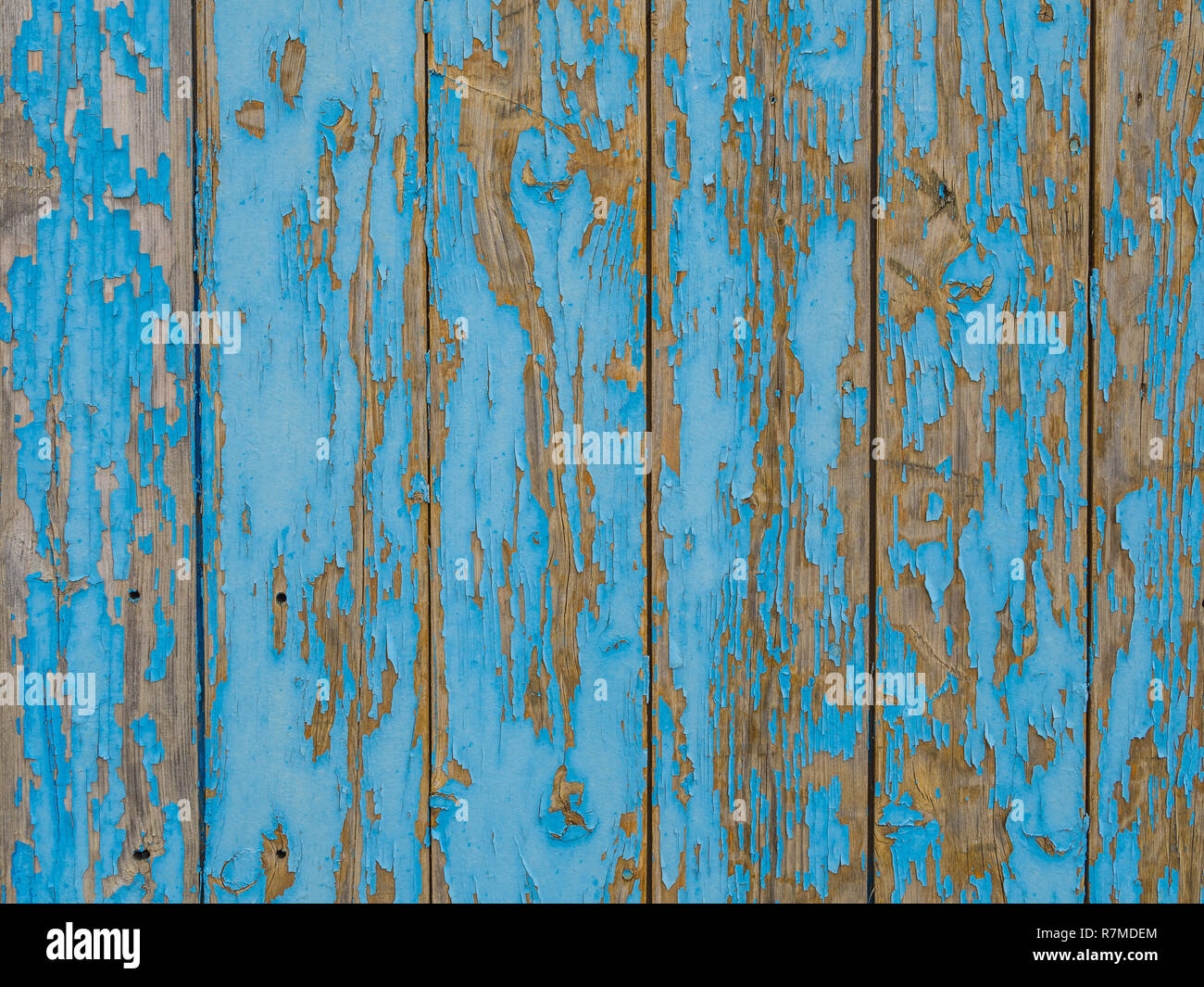 Flake off wood background light blue Stock Photo