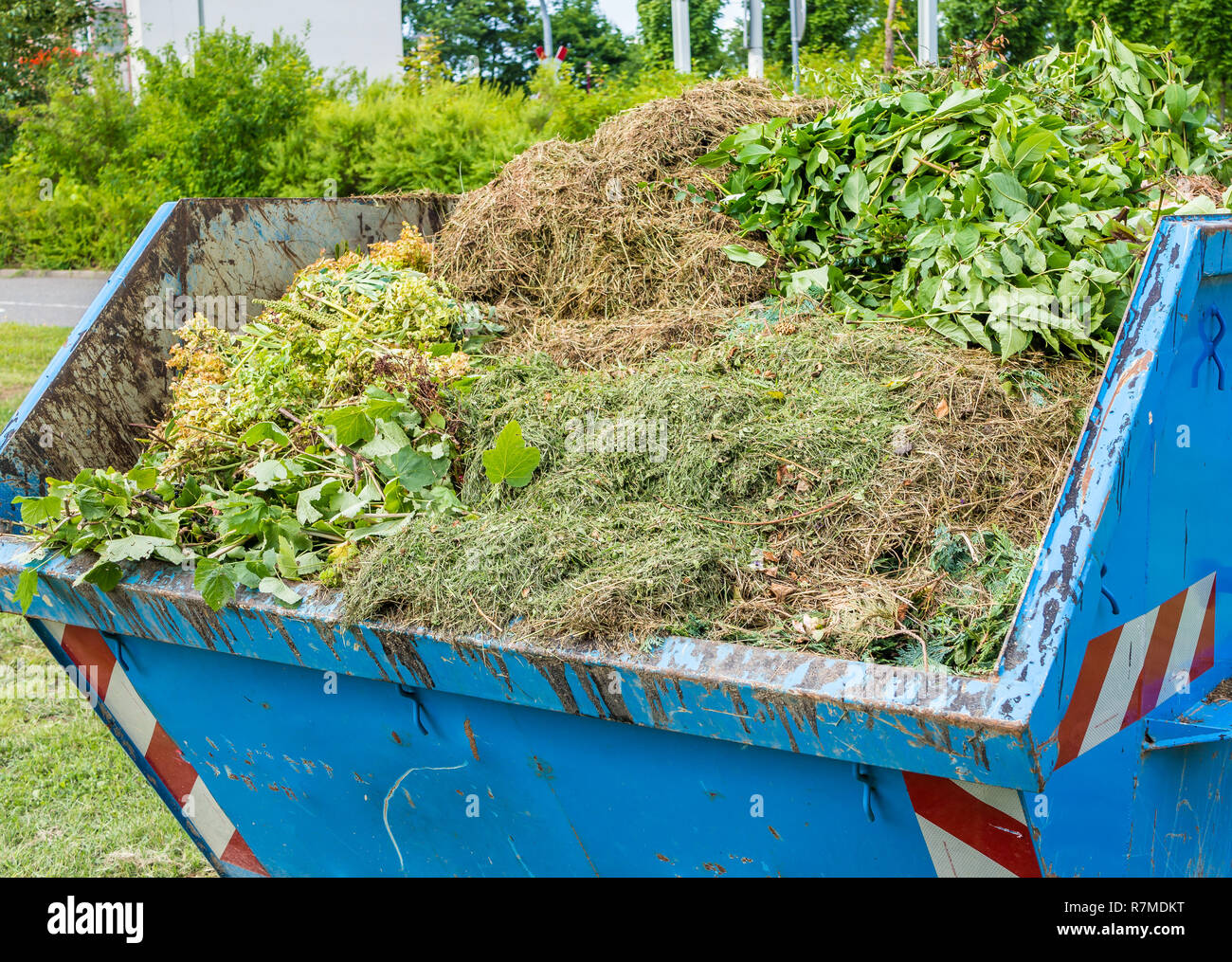 Container with green waste recycling Stock Photo Alamy