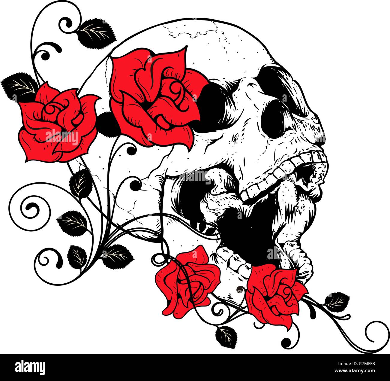 A human skull with roses on white background Stock Vector