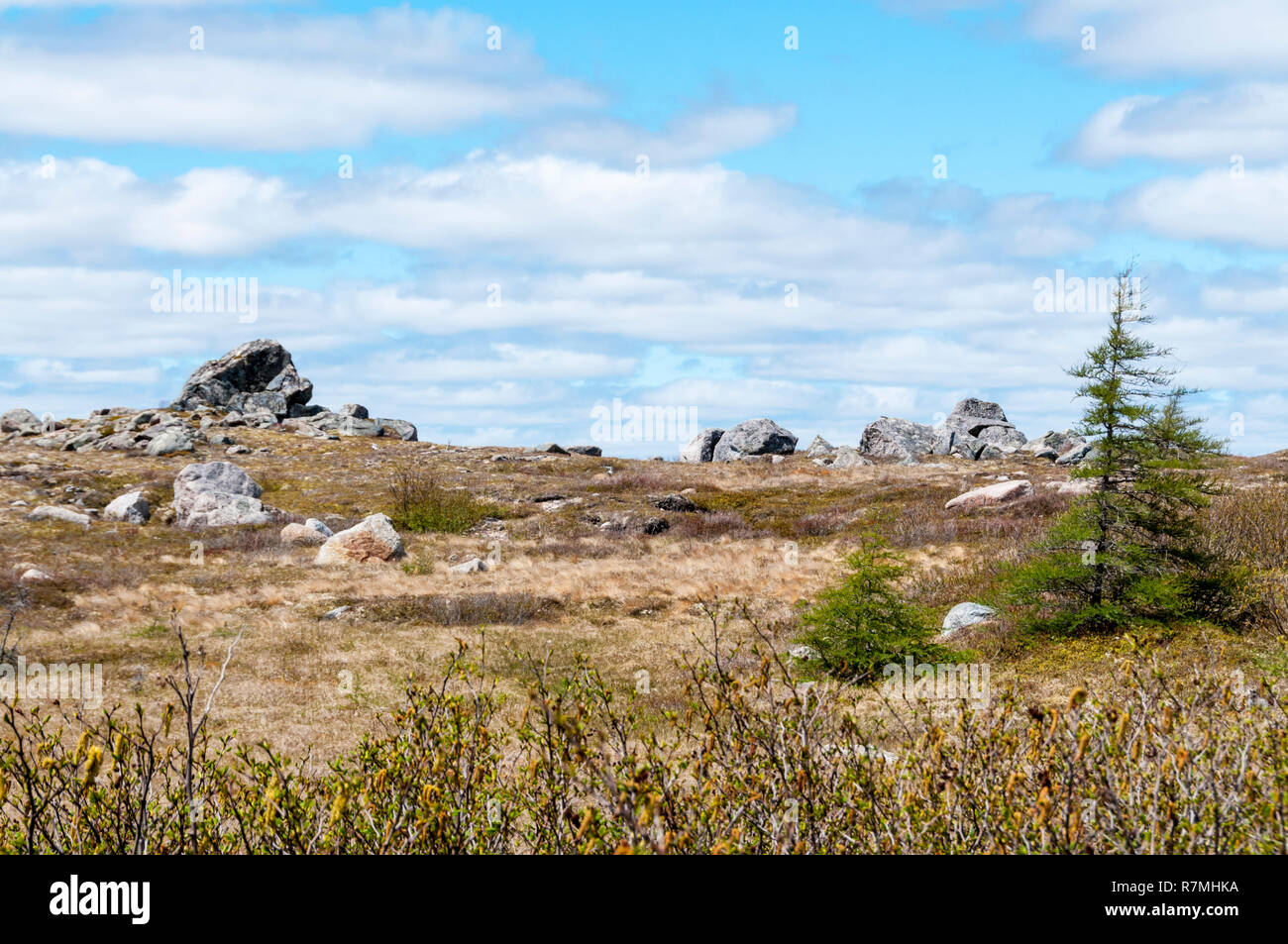 The Burin Peninsula near Fortune Head, Newfoundland Stock Photo Alamy