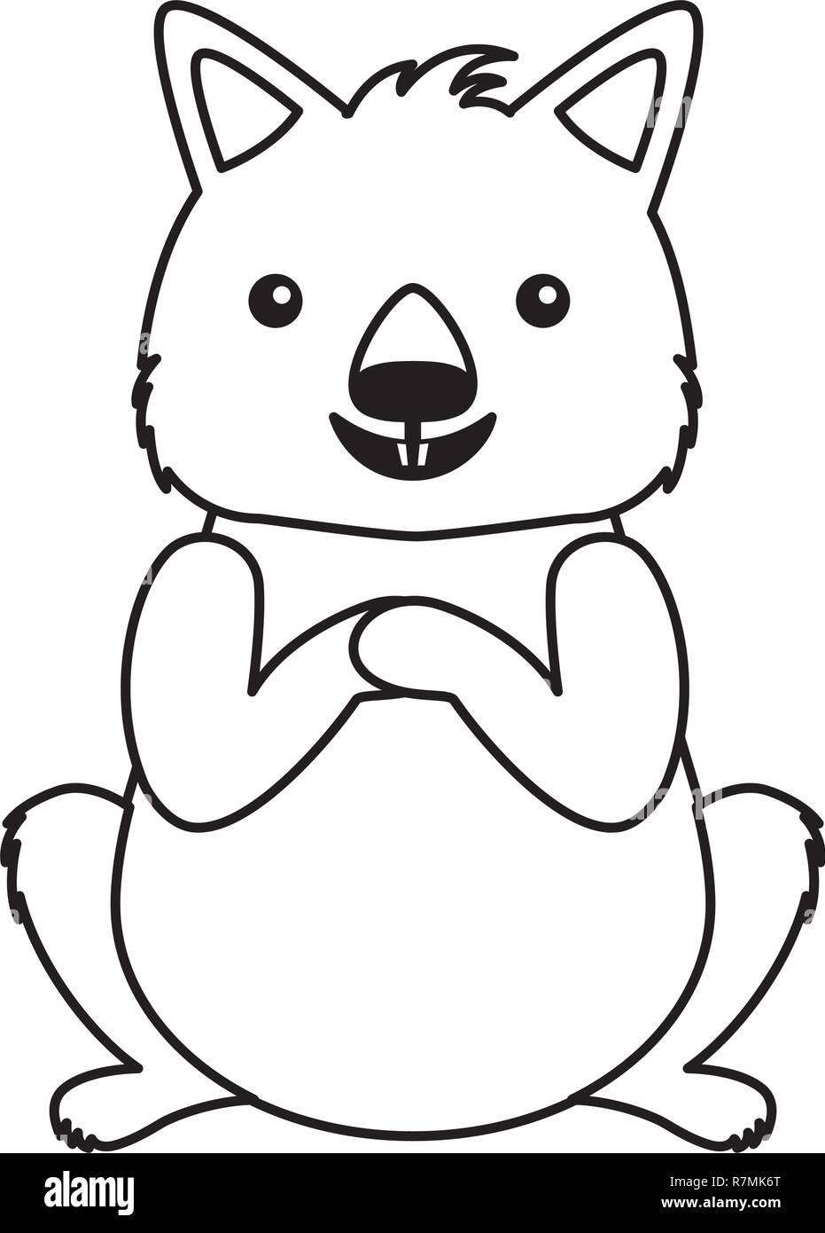 wombat australian fauna on white background Stock Vector Image & Art ...