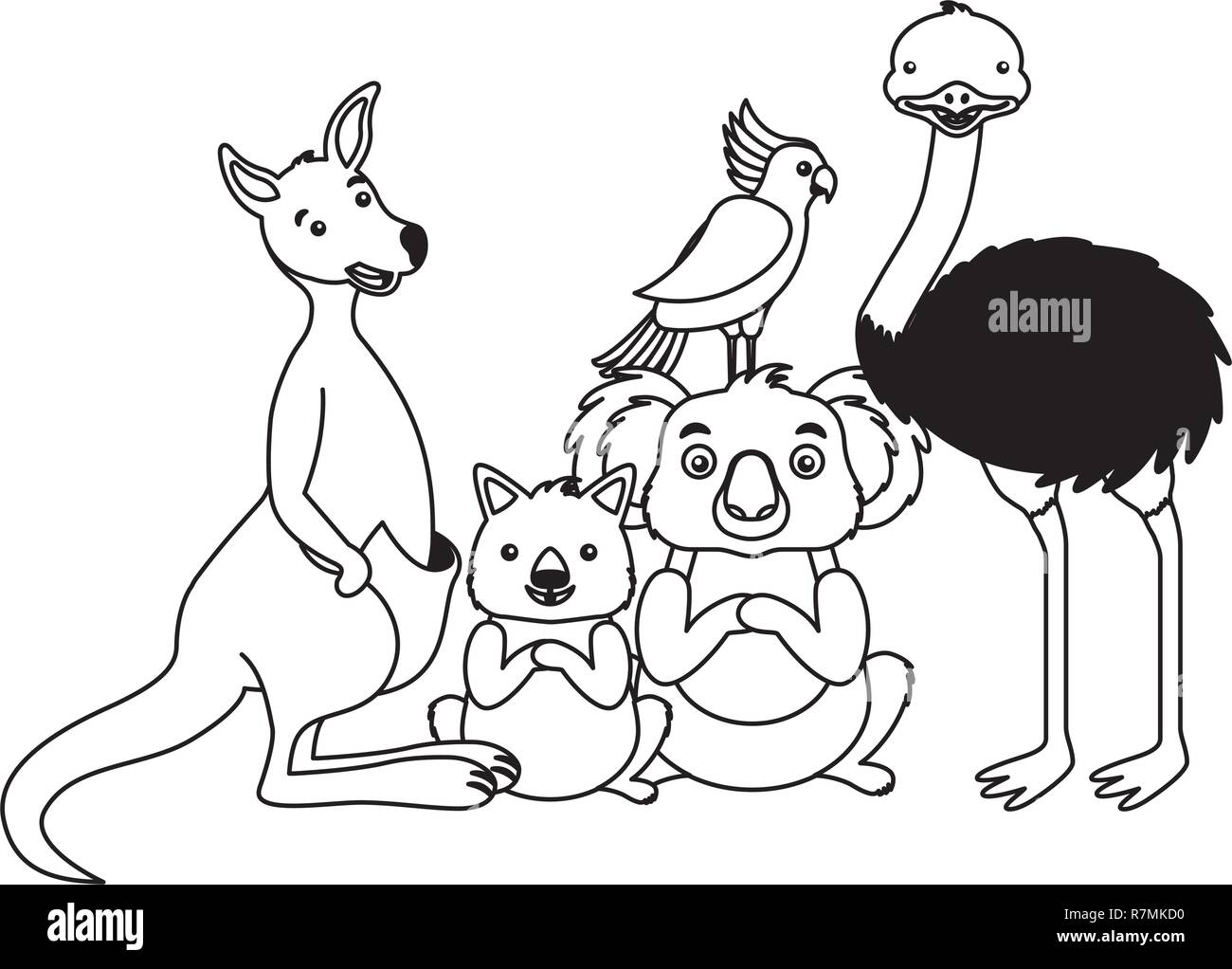kangaroo koala wombat cockatoo and emu Stock Vector Image & Art - Alamy
