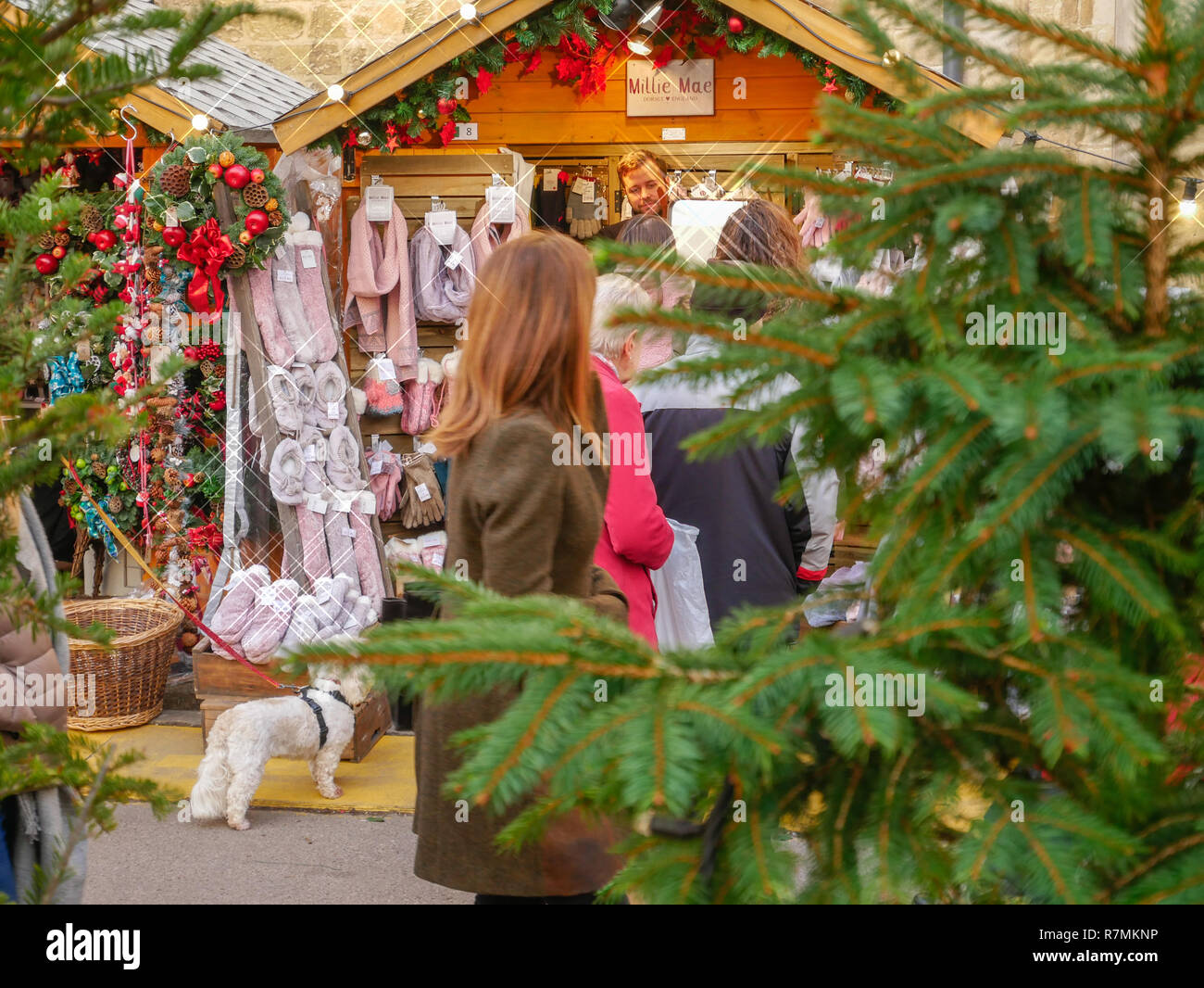 Ice rink winchester cathedral hi-res stock photography and images - Alamy