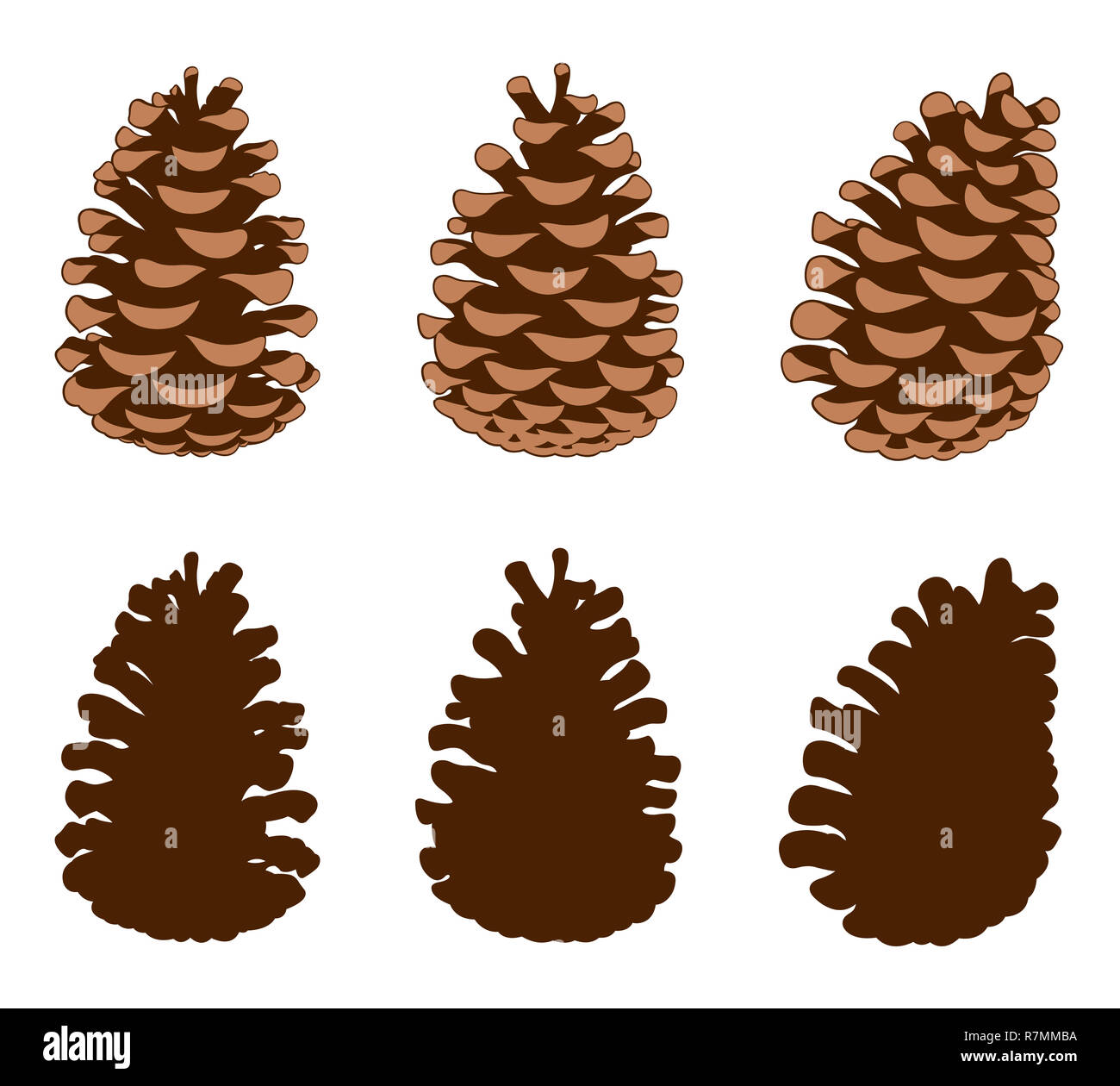 Group of different pine cones isolated on white Stock Photo - Alamy