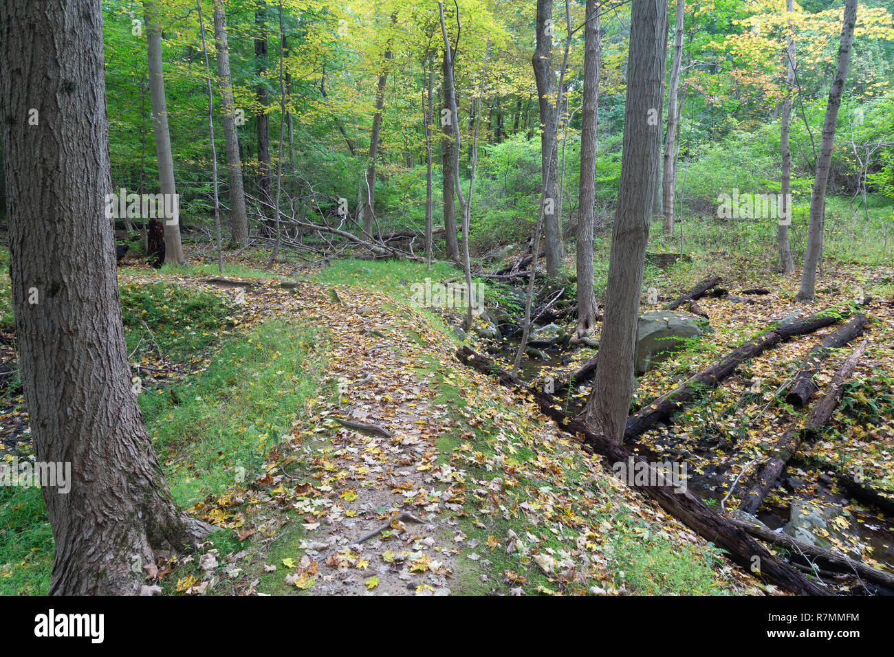 . Tallman Mountain State Park, New York Stock Photo Alamy