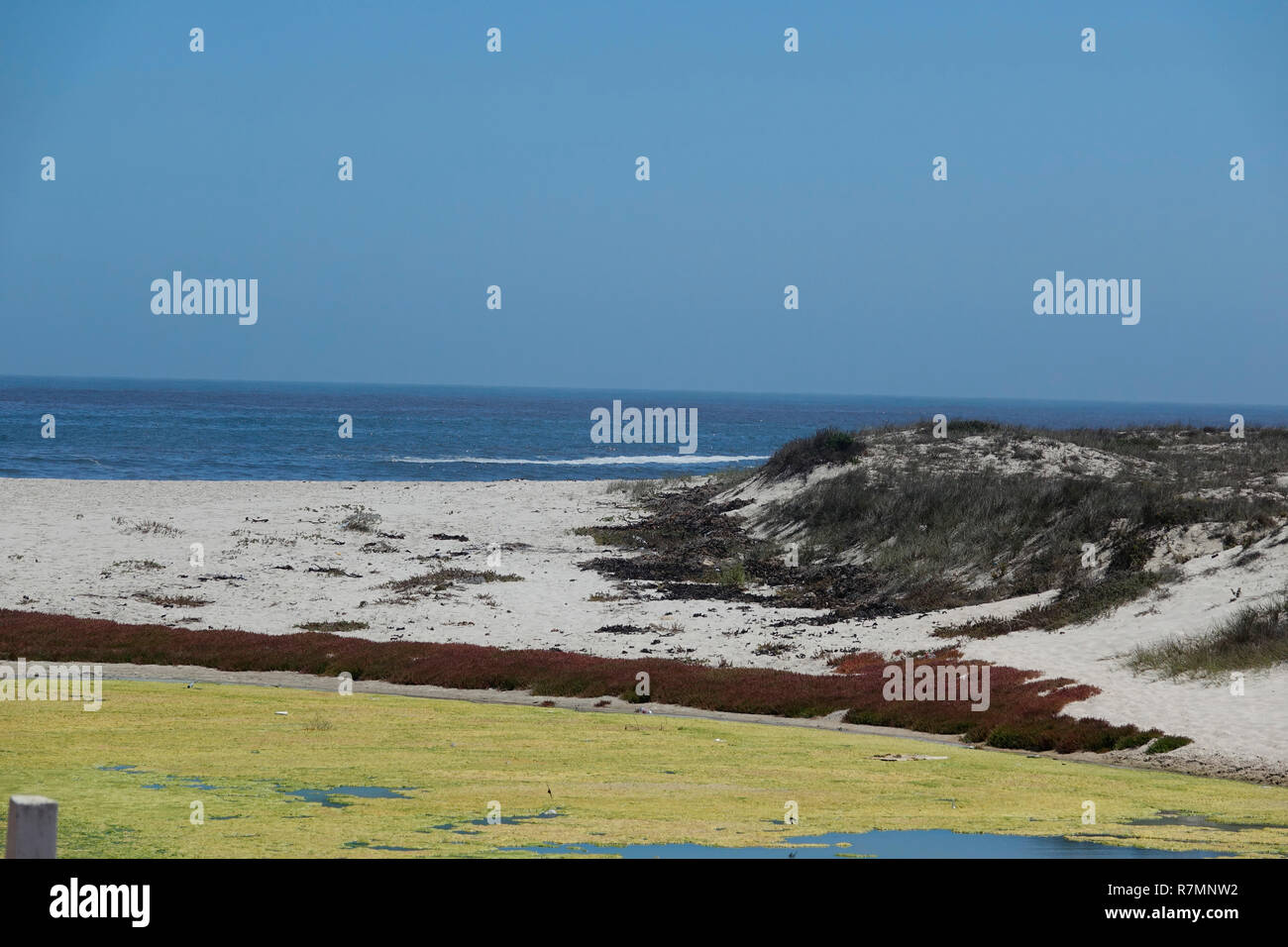 Lamberts bay waterfront hi-res stock photography and images - Alamy