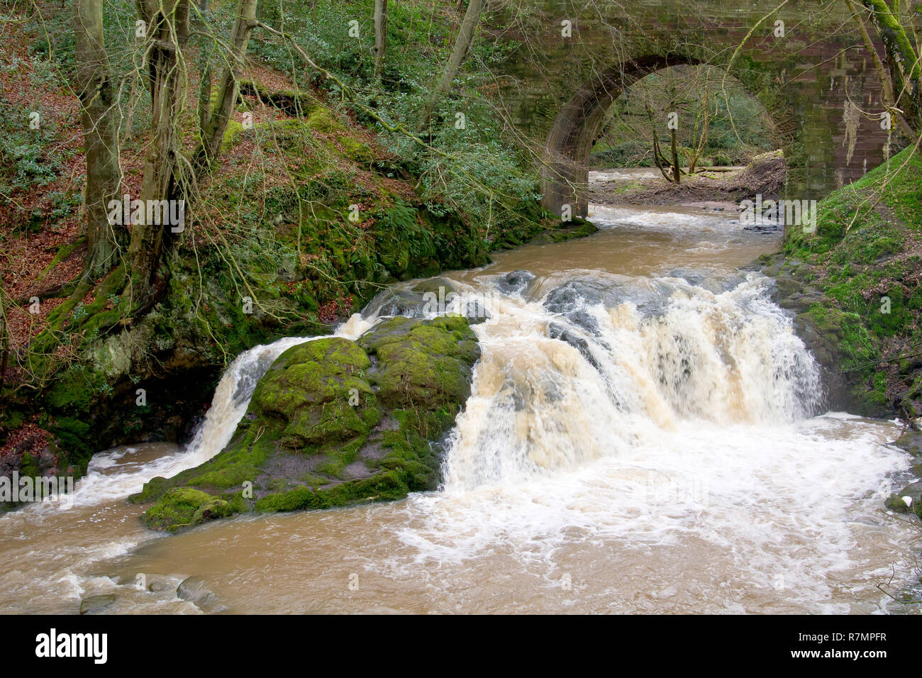 Arbirlot Waterfall on the Elliot Water after a couple of days of heavy