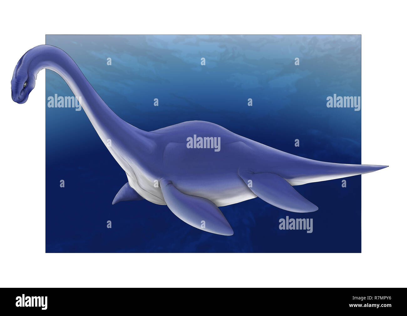 dinosaurus plesiosaurus in water depth, cartoon illustration Stock Photo