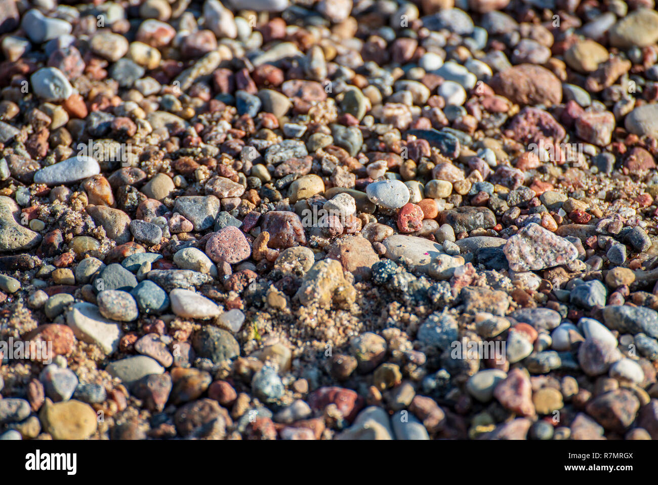 rock covered beach in countryside in Latvia, large rocks in water with ...