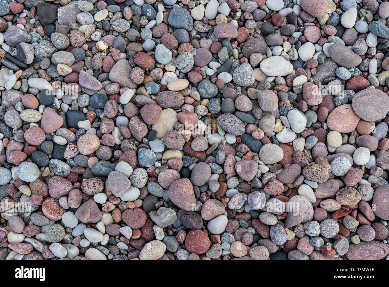 rock covered beach in countryside in Latvia, large rocks in water with ...