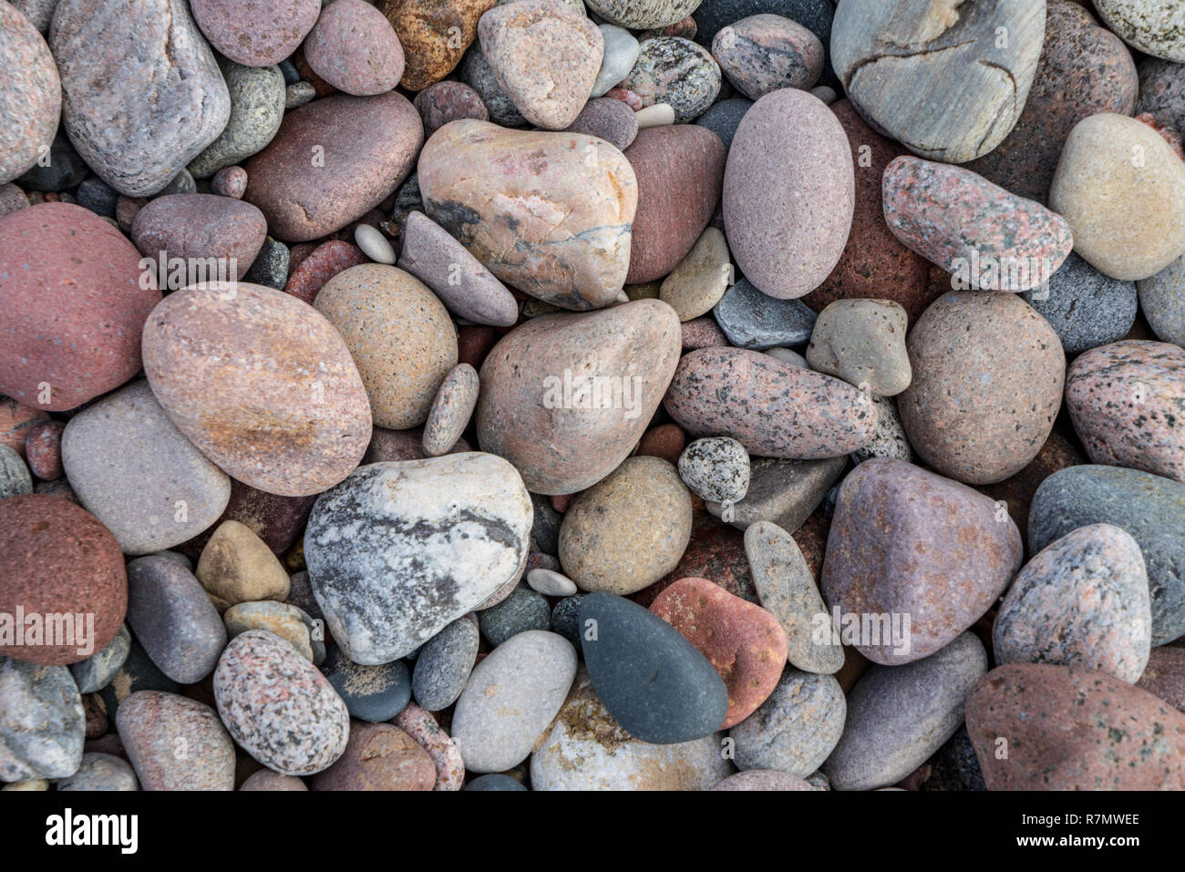 rock covered beach in countryside in Latvia, large rocks in water with ...