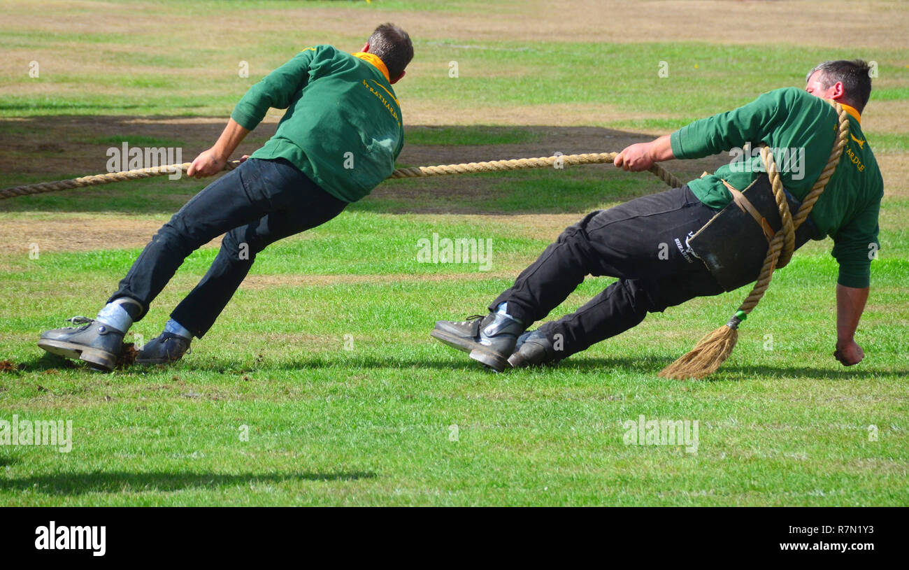Competitors of the tug of war event at the Aboyne 2018 highland games. Scotland Stock Photo