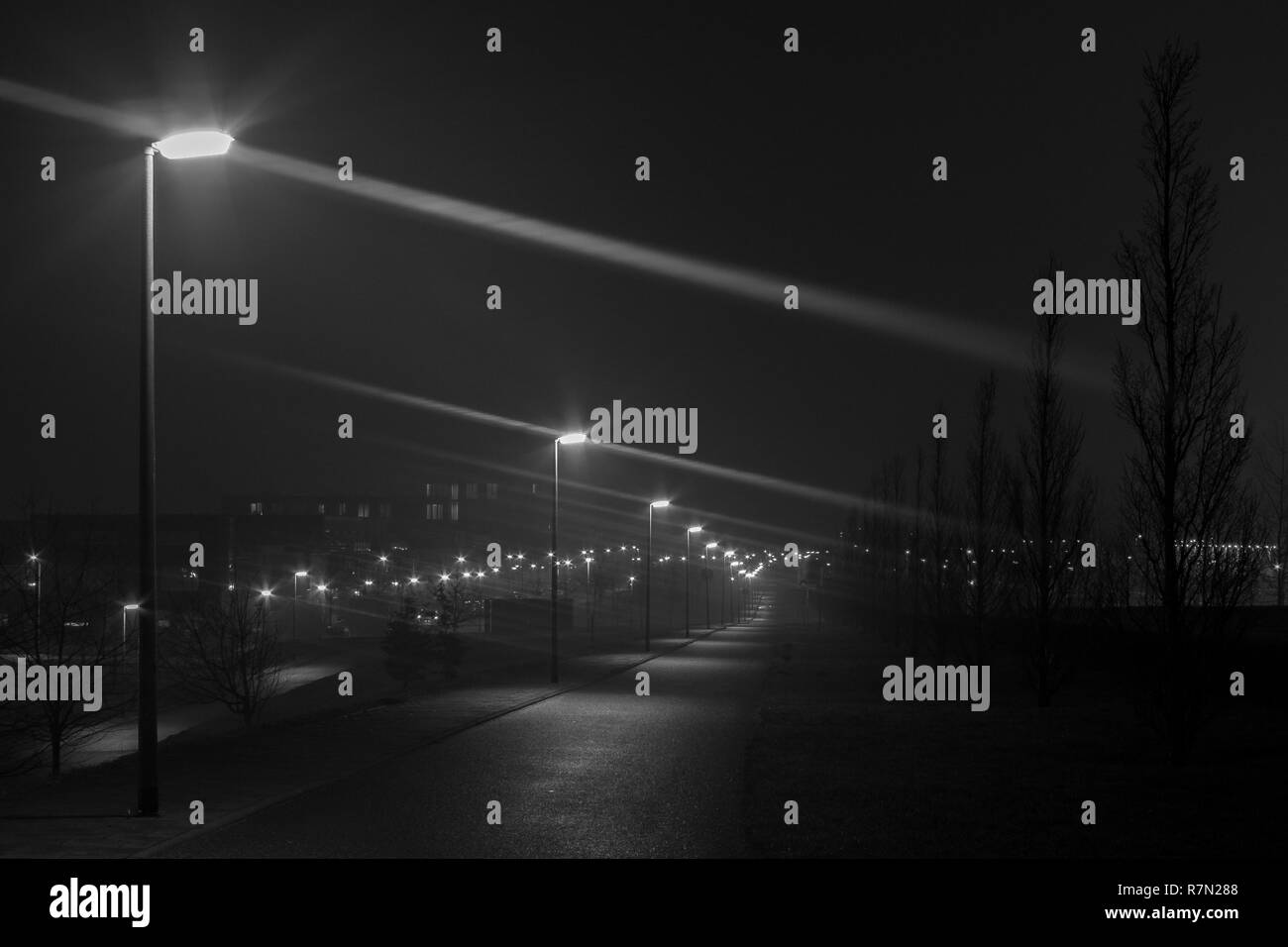 Streetlights in Almere Stock Photo