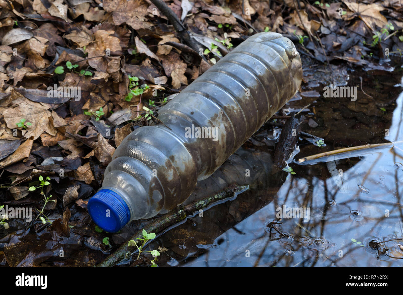 An empty plastic bottle thrown into the water in the nature. Environmental pollution. Stock Photo