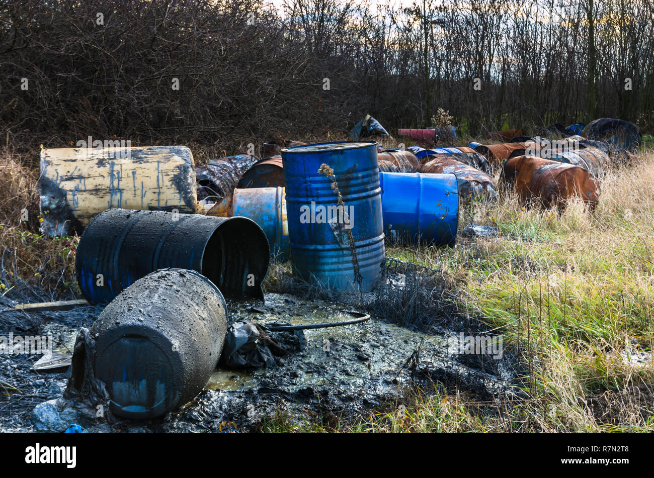 Barrels of toxic waste in nature, pollution of the environment. Stock Photo