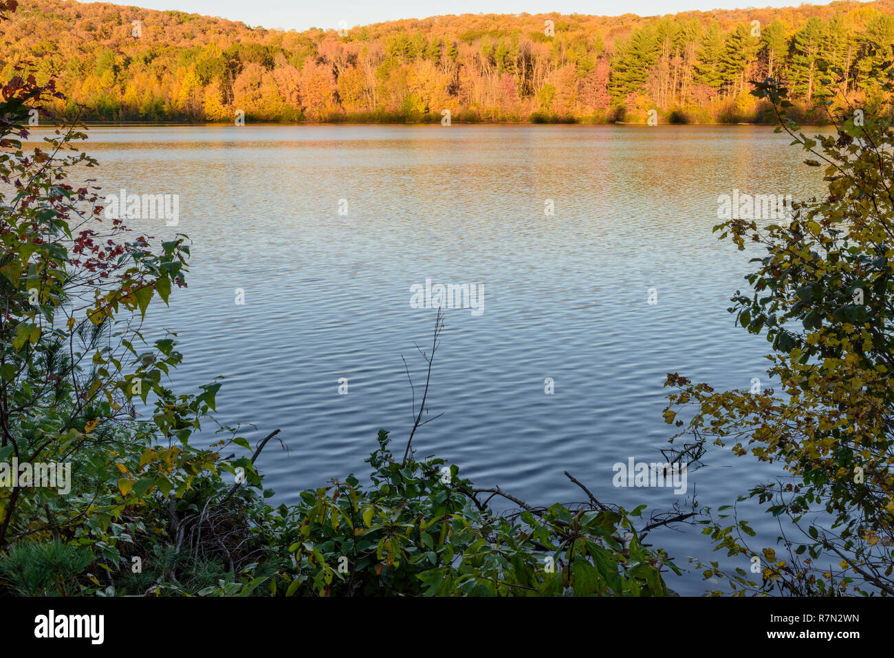 Seymour lake hires stock photography and images Alamy