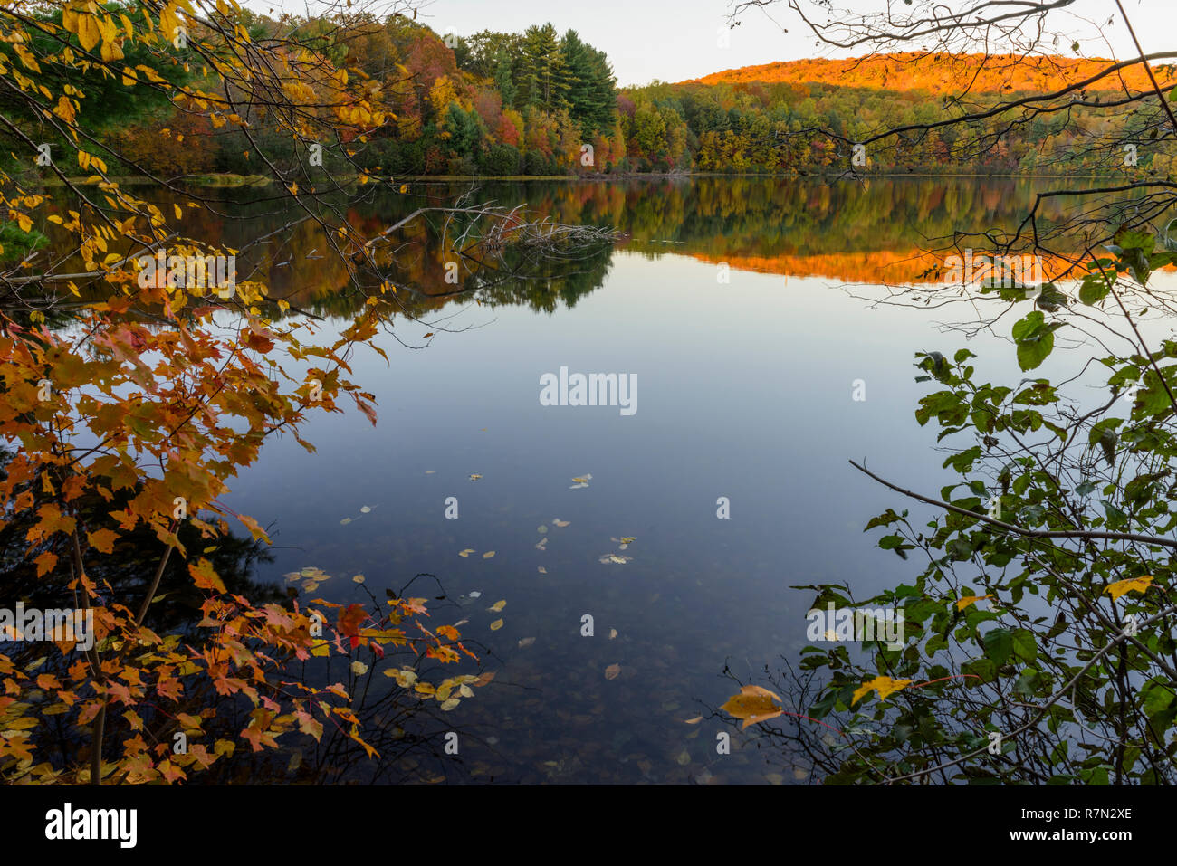 Seymour lake hires stock photography and images Alamy