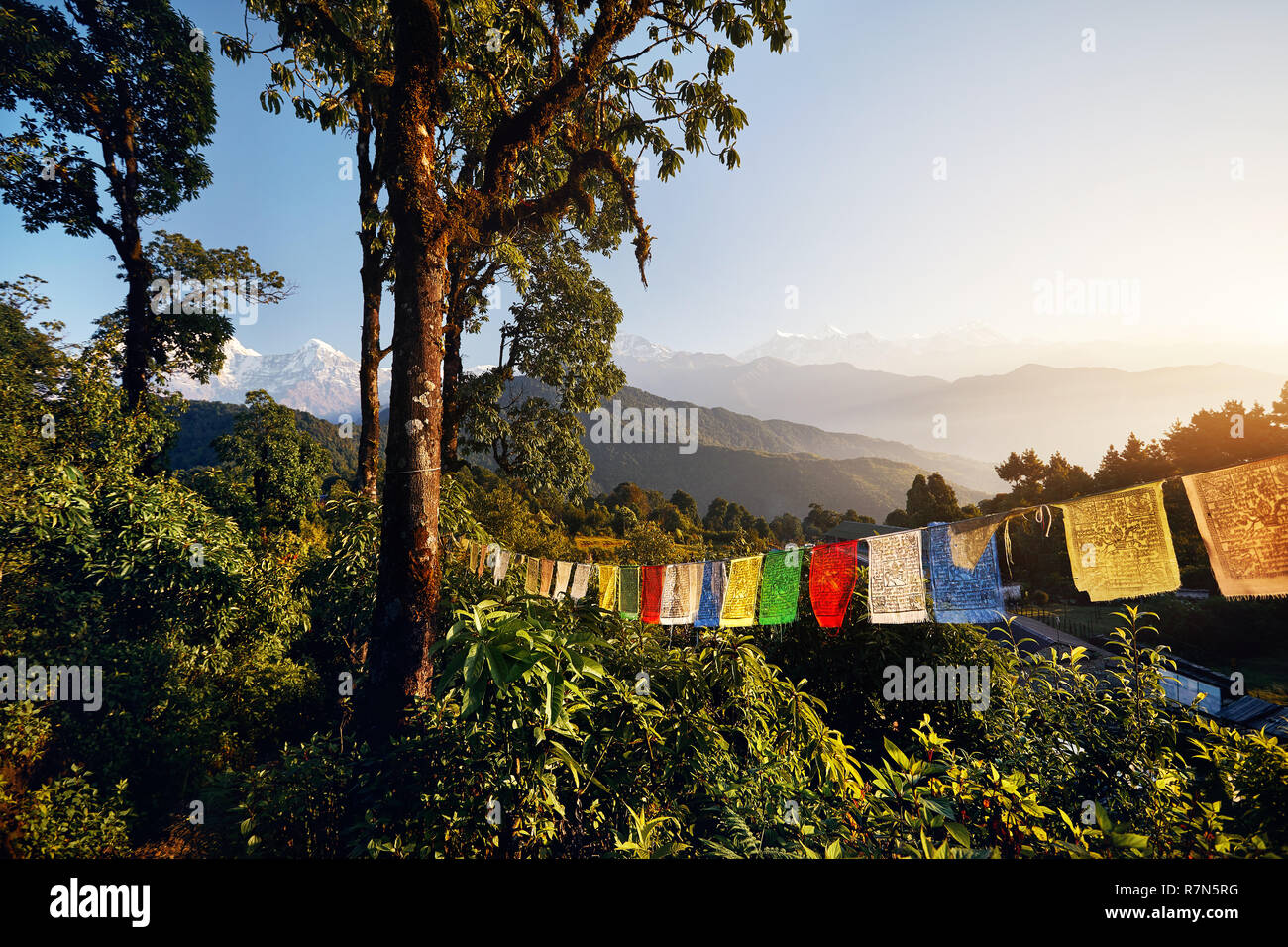 Rainforest and Tibetan prayer flags Lung Ta at the Mardi Himal trek at sunrise in Himalaya Mountains, Nepal Stock Photo
