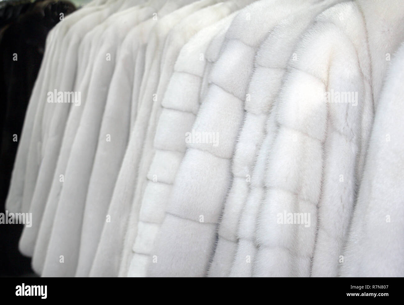 Fluffy coats hi-res stock photography and images - Alamy