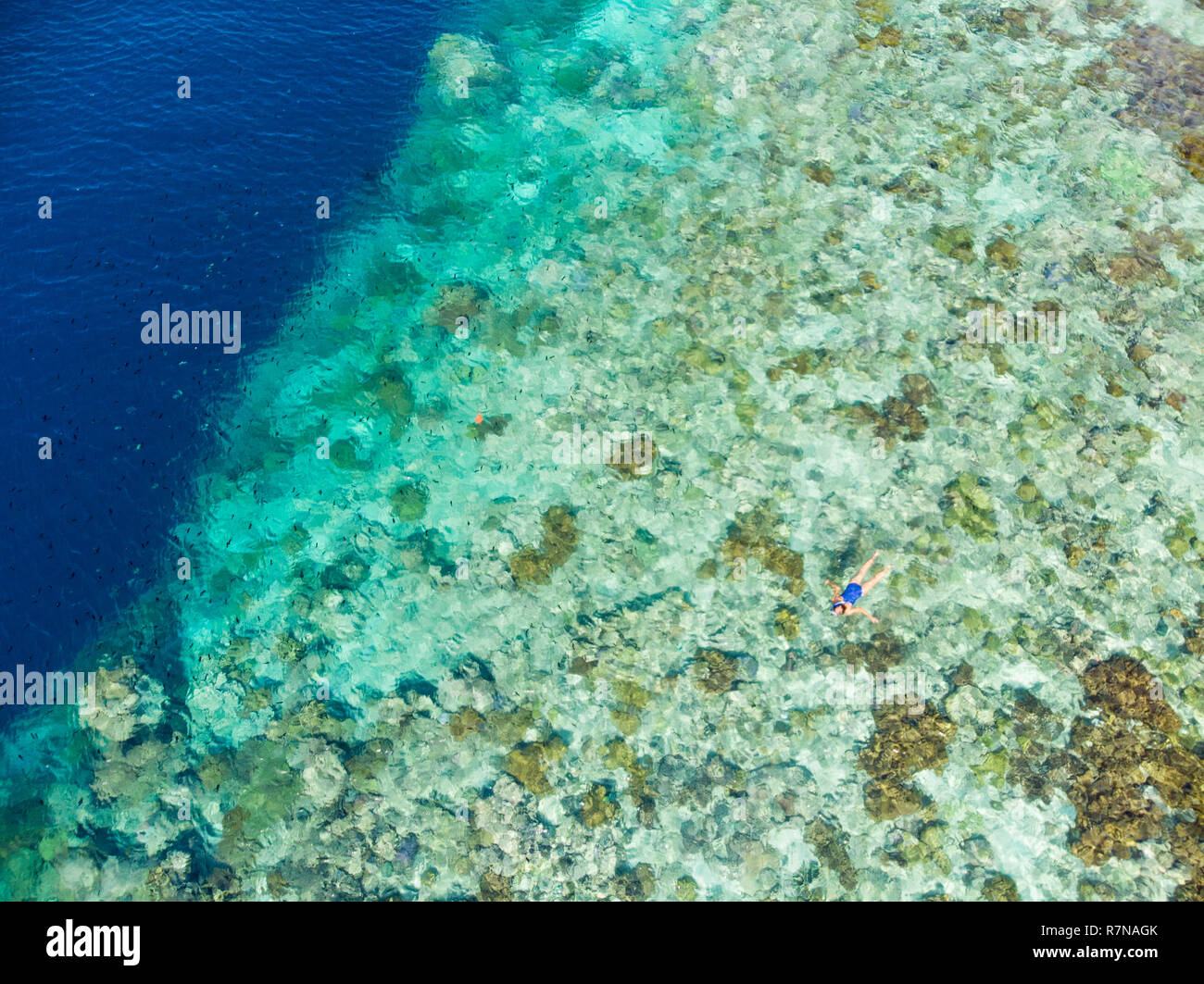 Aerial top down view coral reef tropical caribbean sea, turquoise blue