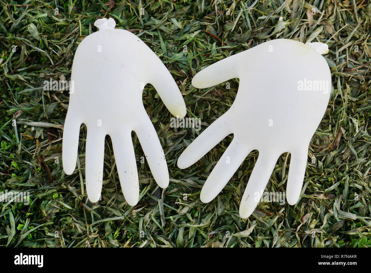 Hand glove turn to hand type balloon. Stock Photo