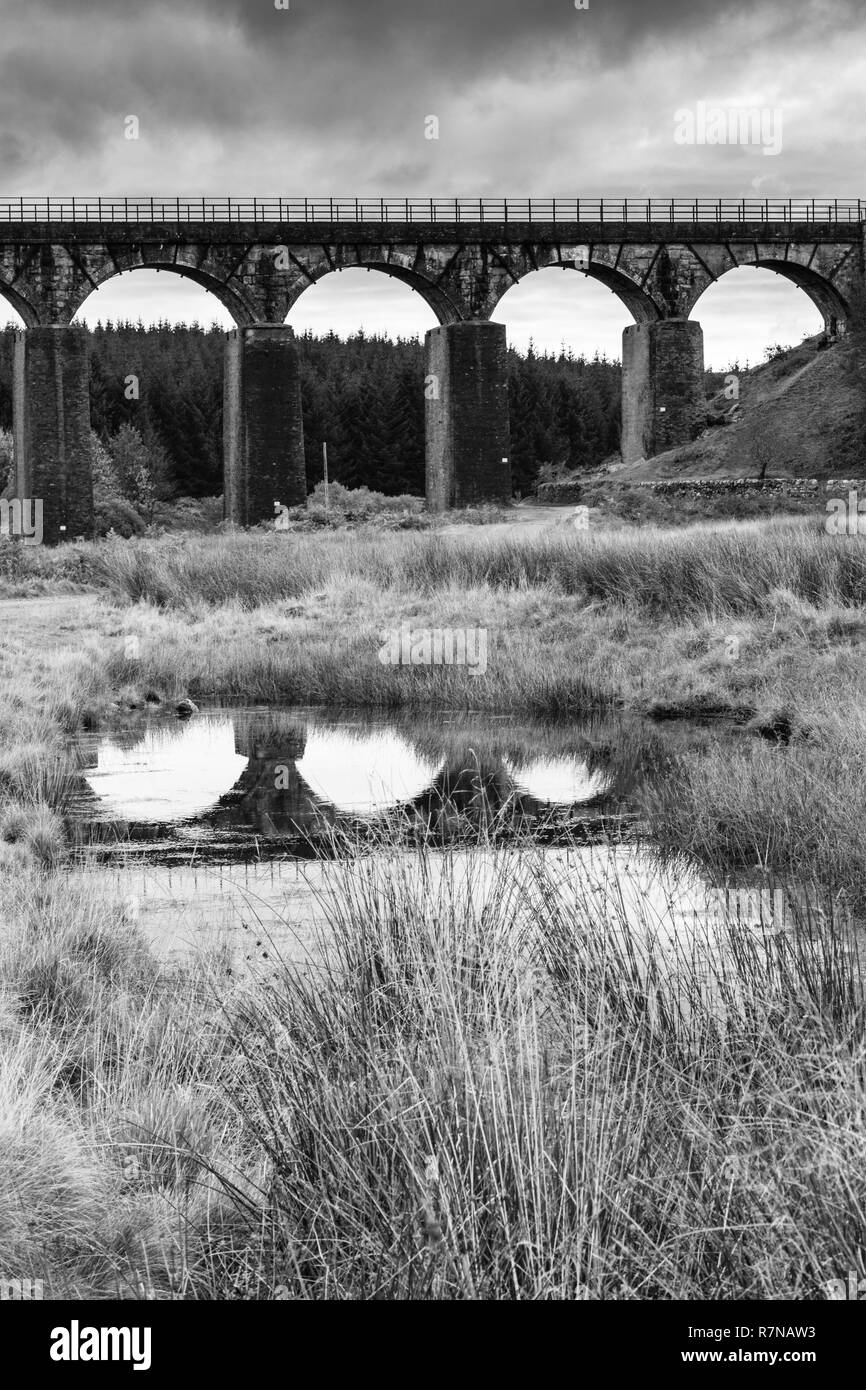Big Water of Fleet Viaduct, Dumfries and Galloway, South-West Scotland. Stock Photo