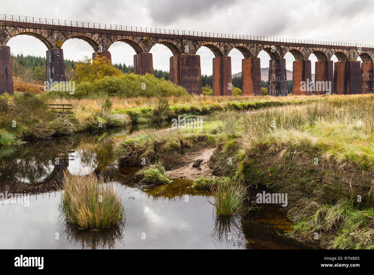 Big Water of Fleet is a 300-yard railway viaduct, with 20 arches. The piers were strengthened with brick encasings in 1940. The line it carried closed Stock Photo