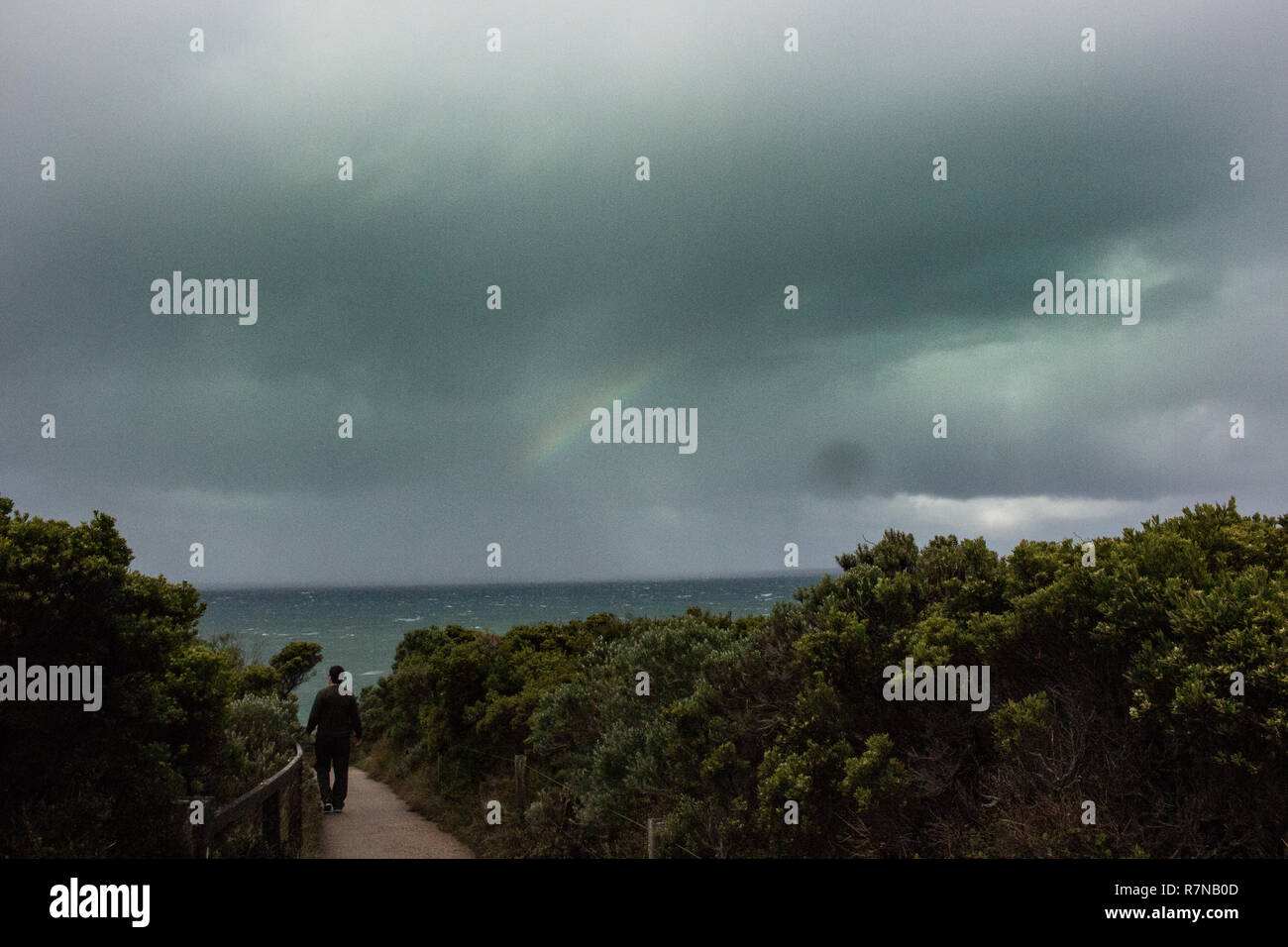 Walking at Great Ocean Stock Photo