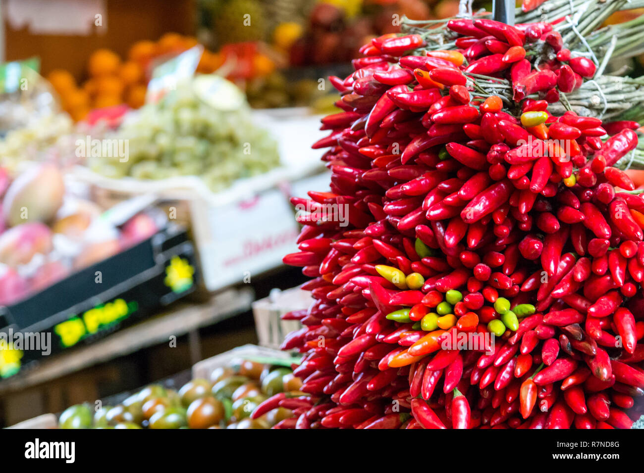 Red chili peppers on a food market in Bologna, Italy Stock Photo - Alamy