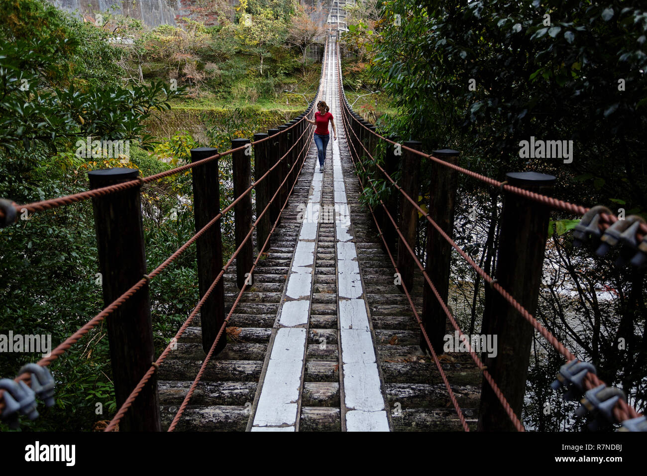 Woman walking on a wooden suspension bridge, Wakayama, Japan Stock Photo -  Alamy