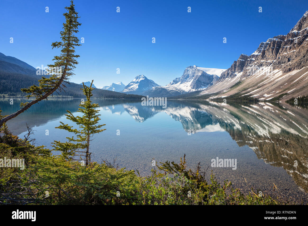 Bow Lake in Banff National Park, Alberta, Canada Stock Photo Alamy