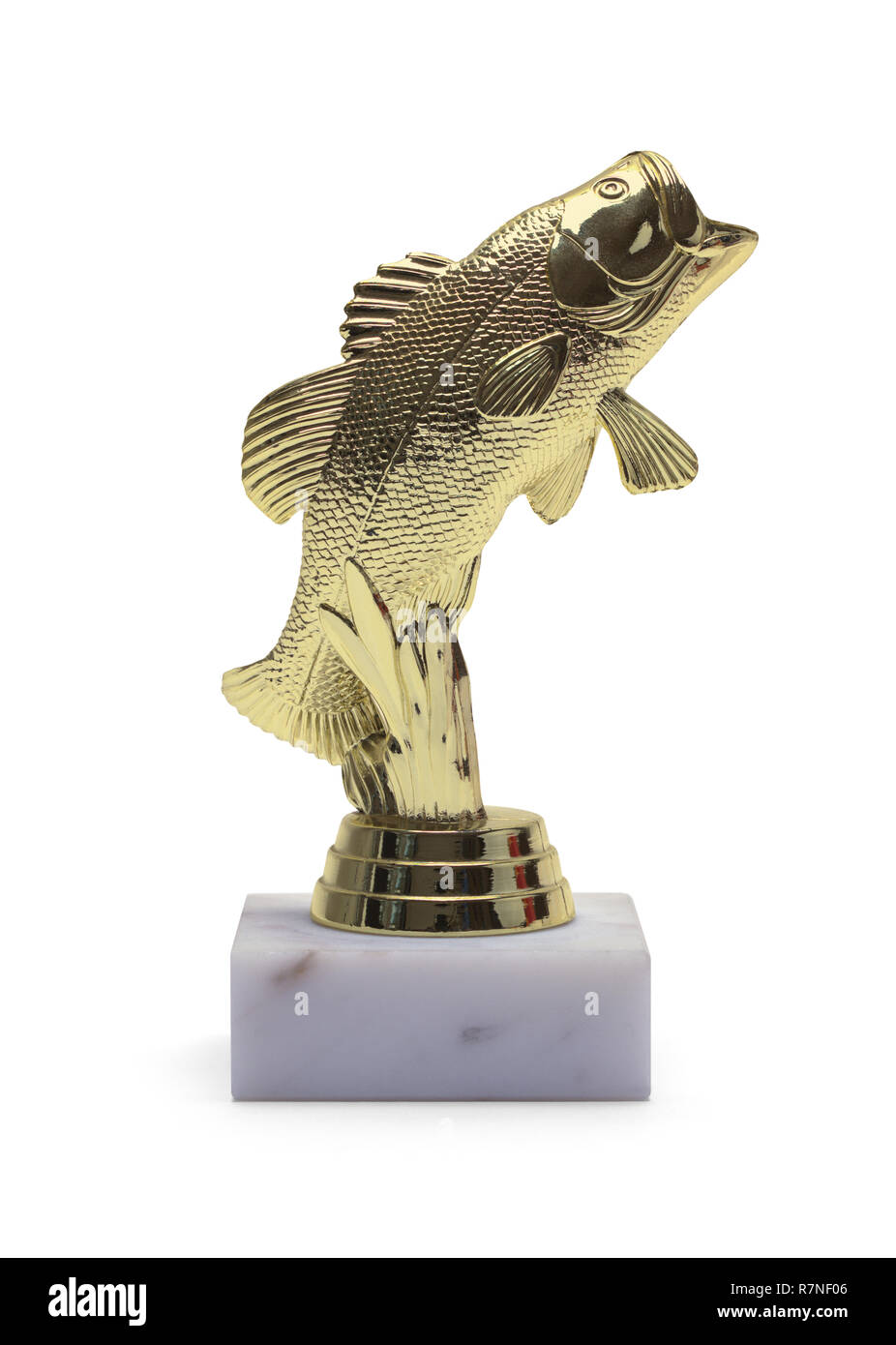 Winning Gold Fish Trophy Isolated on White Background. Stock Photo